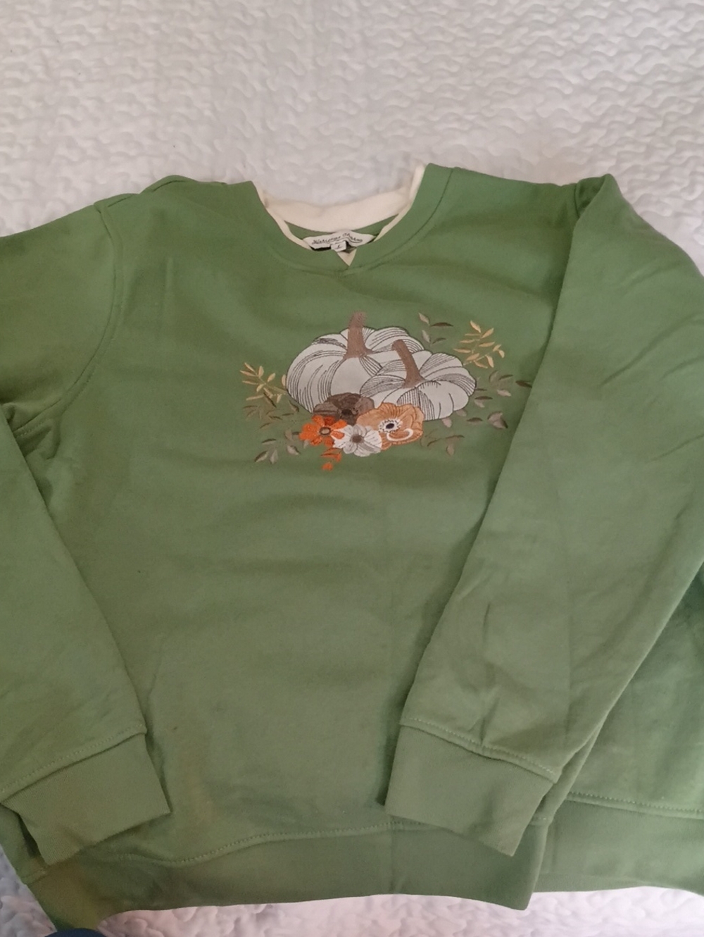Sage Green Crewneck Sweatshirt with Pumpkin & Floral Embroidery